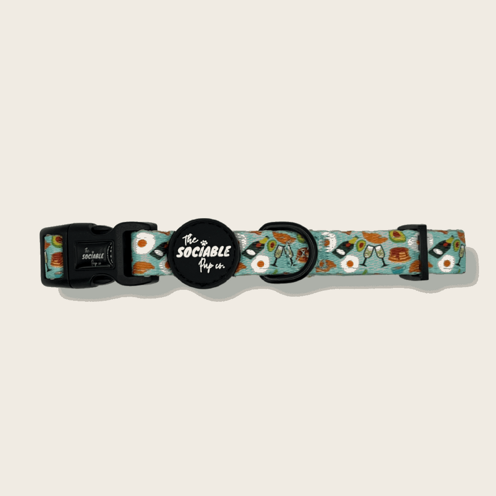 Brunch Pup Dog Collar – Fun, Comfy & Everyday Style | The Sociable Pup Company