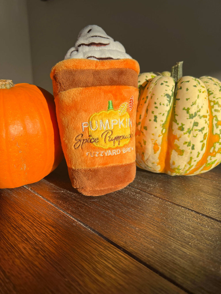 Pumpkin Spiced Puppuccino Burrow Dog Toy – Autumn Treat | The Sociable Pup Company
