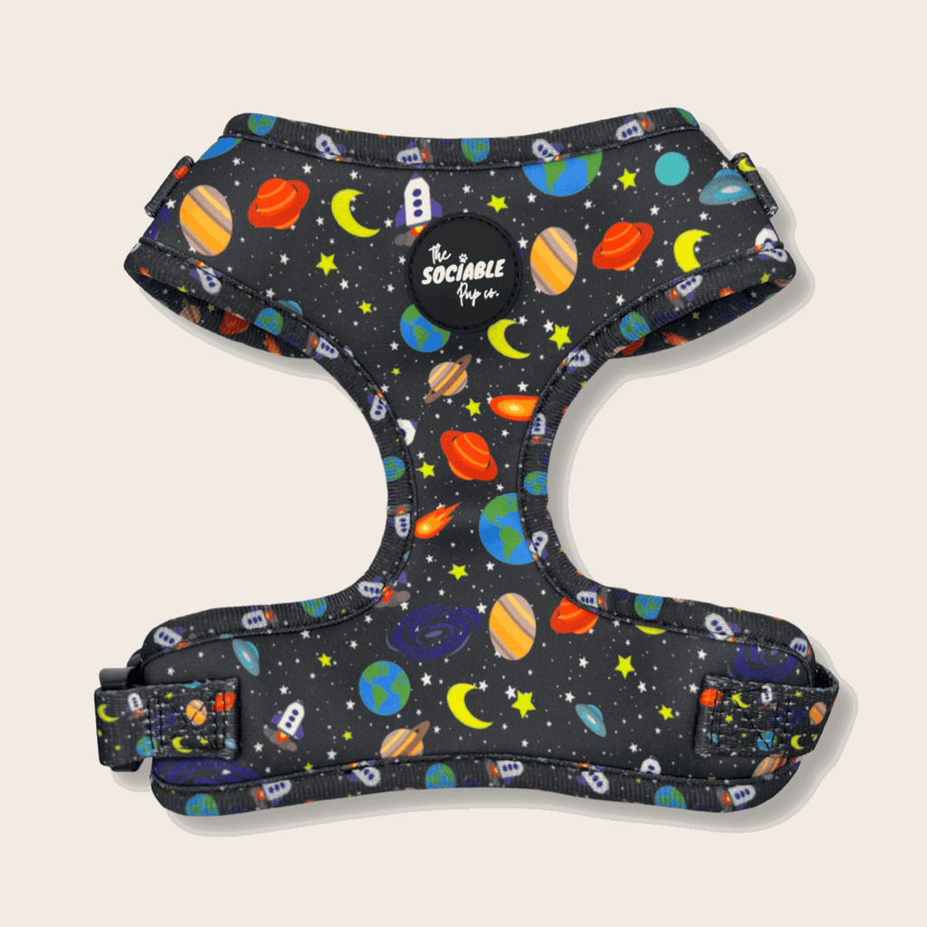 The Sociable Pup AirTag Dog Harness with AirTag Holder from the Out of This World Collection.