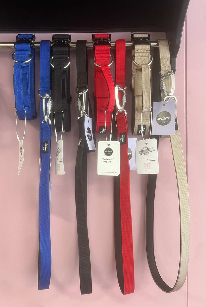 WoofPocket™ Matching Leads