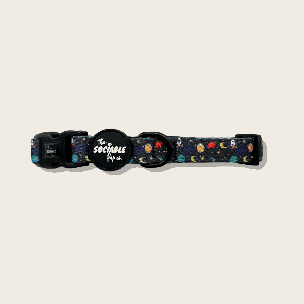 Out of This World Dog Collar – Bold, Durable & Stylish | The Sociable Pup Company