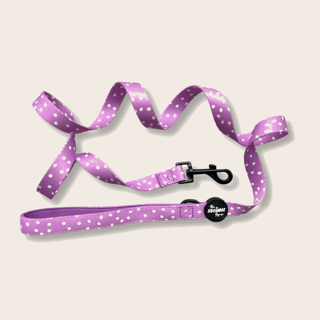 Purple Haze Dog Lead – Stylish, Durable & Comfortable | The Sociable Pup Company