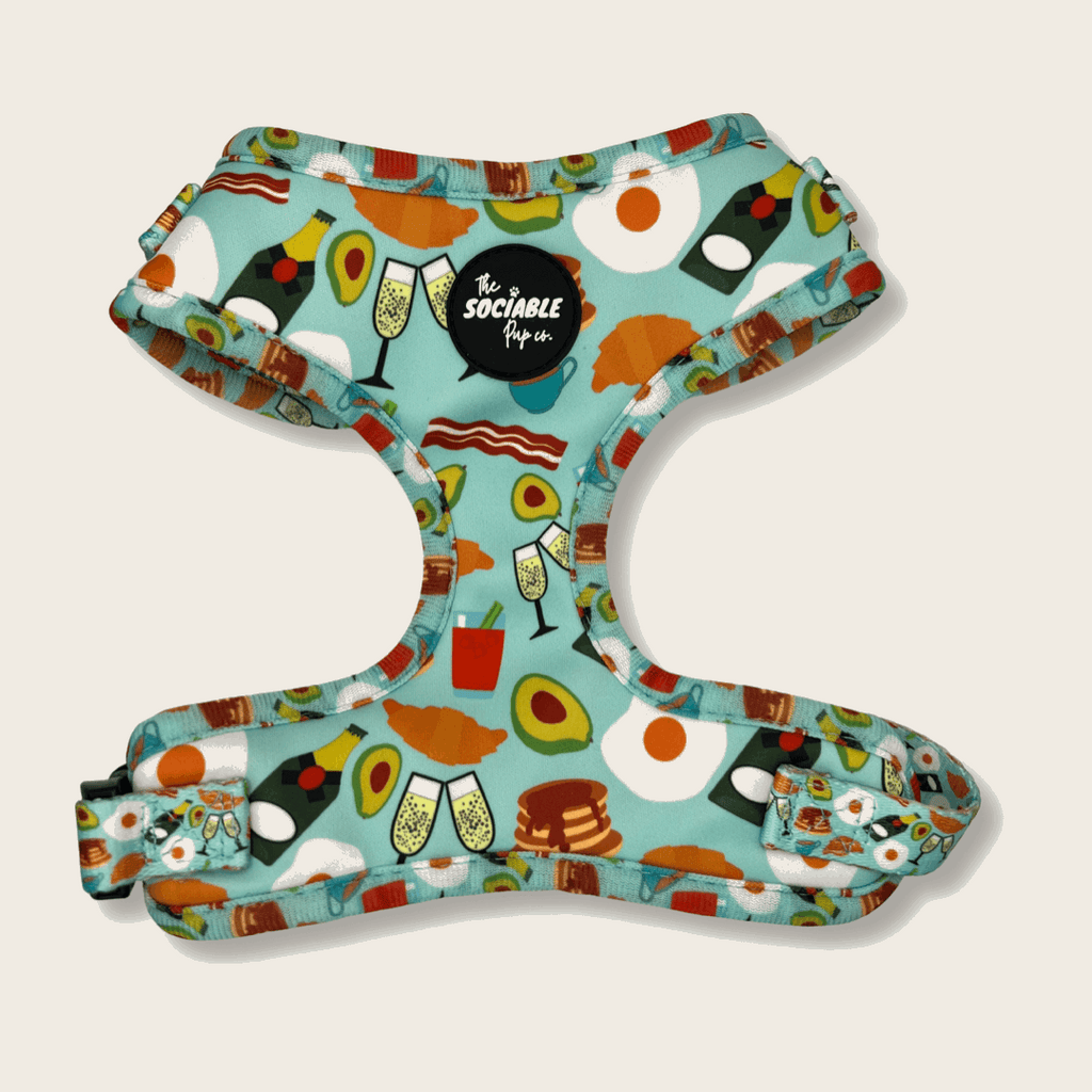 The Sociable Pup Dog AirTag Holder Harness from the Brunch Pups Collection.