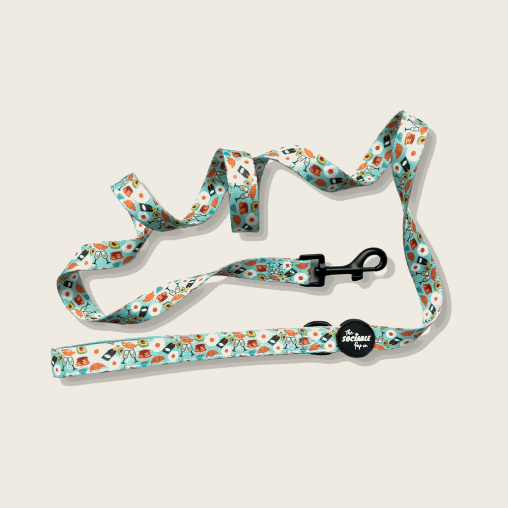 Brunch Pups Dog Lead – Stylish, Strong & Comfortable | The Sociable Pup Company