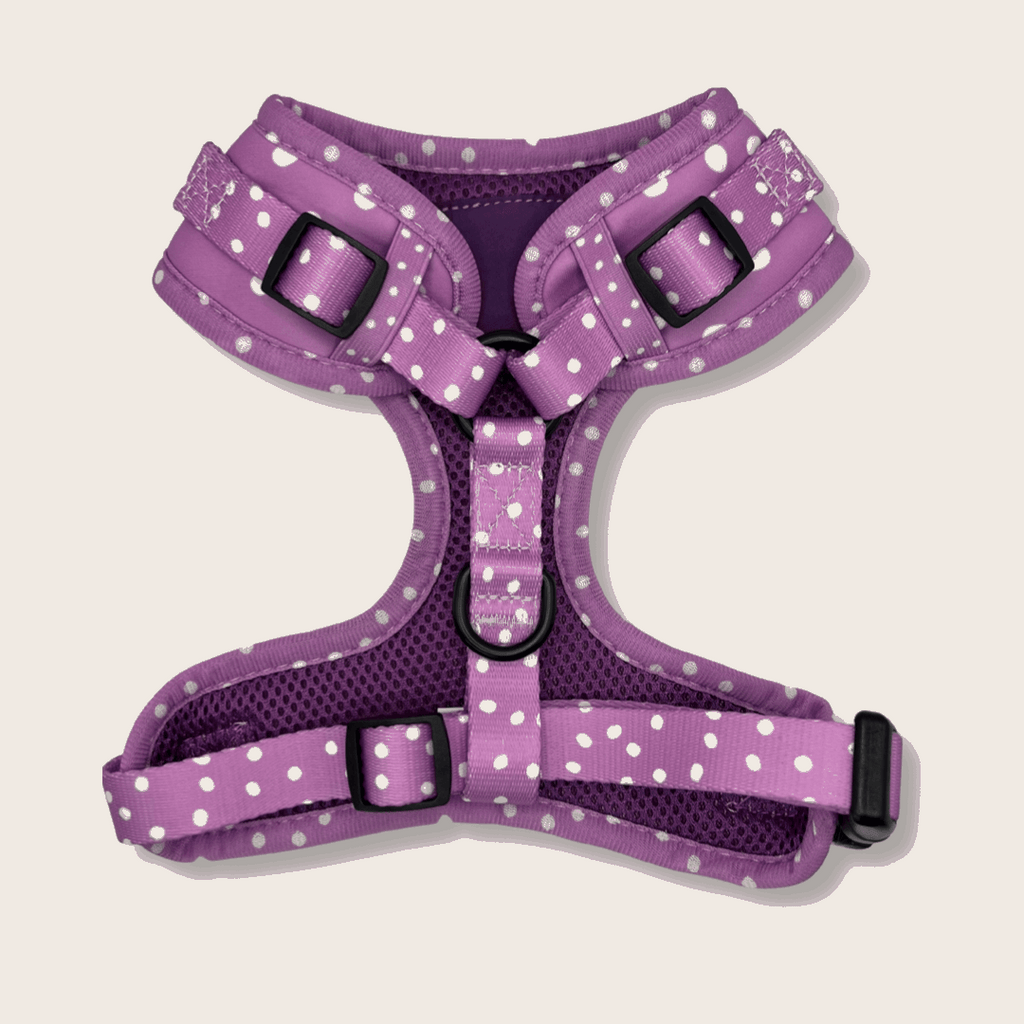 The Sociable Pup AirTag Dog Harness with AirTag Holder from the Lilac Haze Collection - fastening.