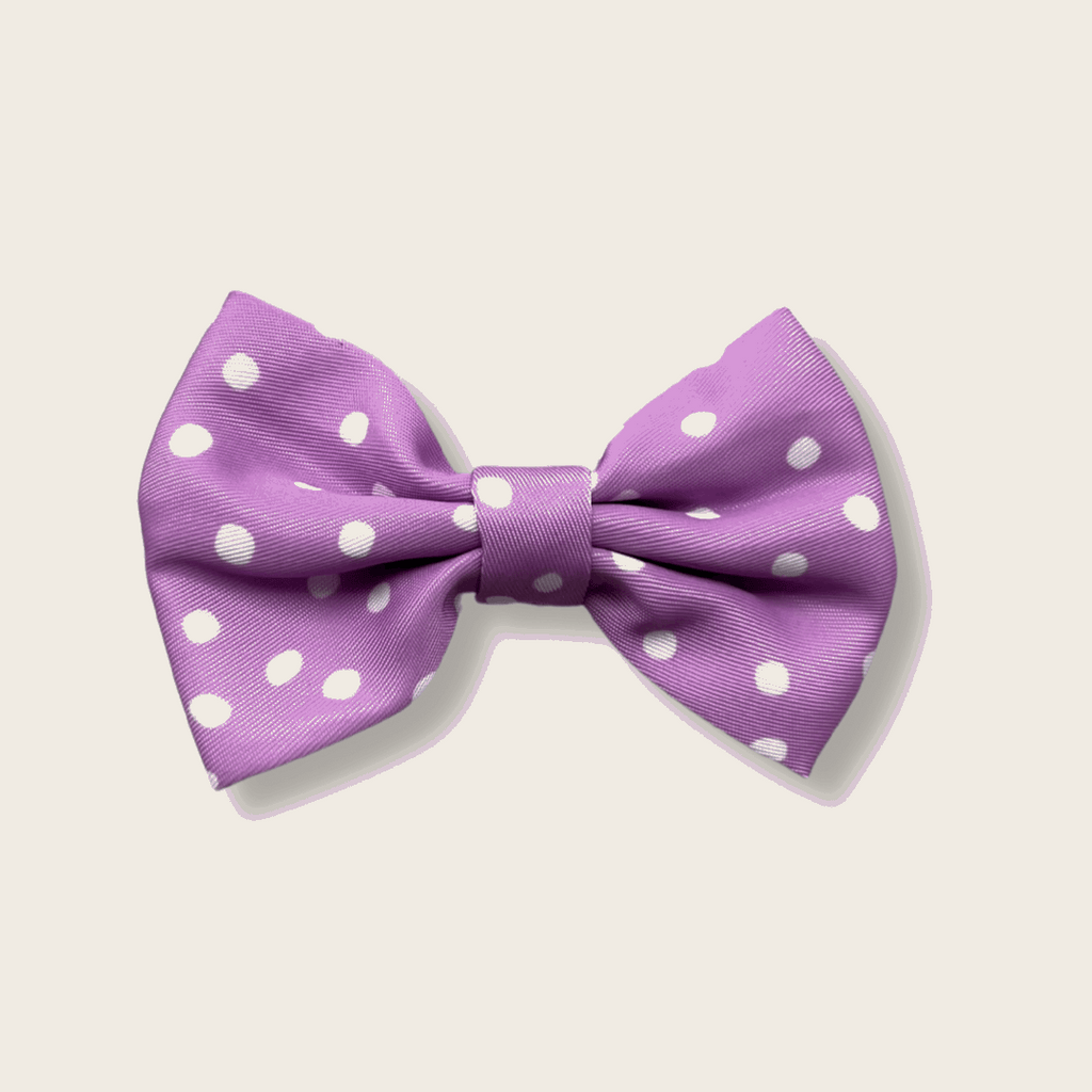 Purple Haze Dog Bow Tie – Bold, Fun & Easy to Wear | The Sociable Pup Company