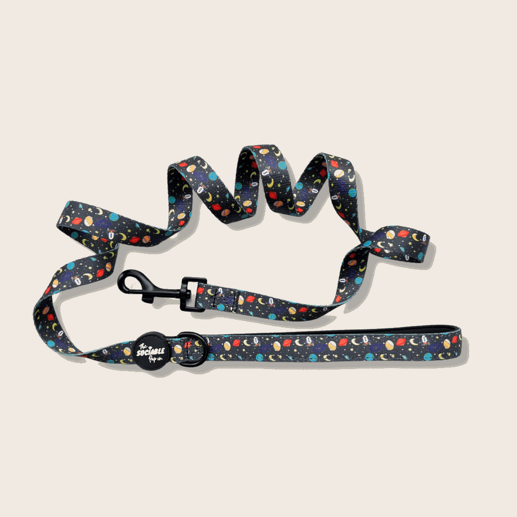 Out of This World Dog Lead – Bold, Durable & Stylish | The Sociable Pup Company
