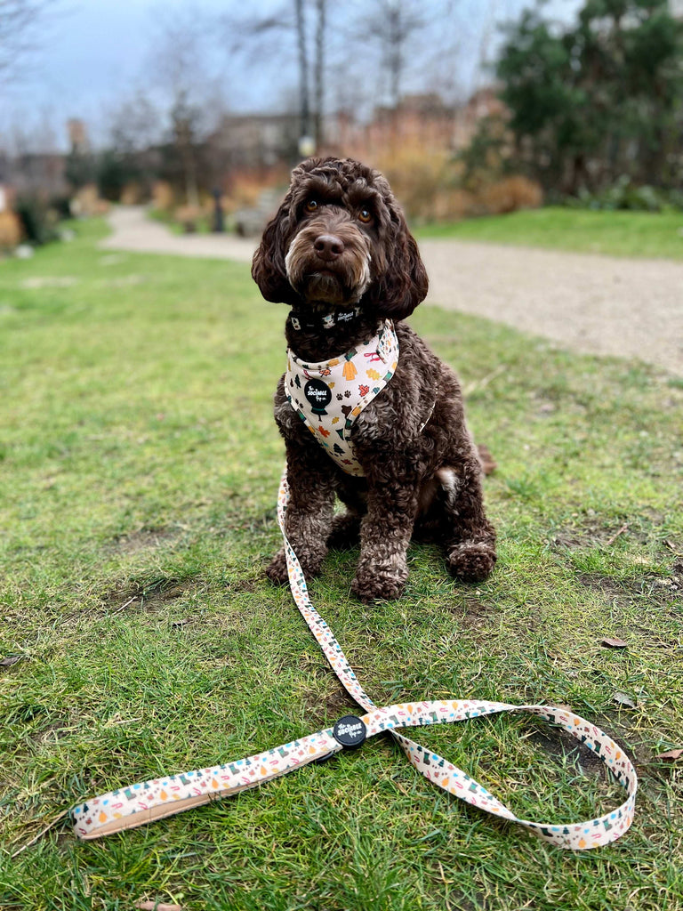 The Sociable Pup AirTag Dog Harness with AirTag Holder from the Muddy Walks Collection - black poodle.